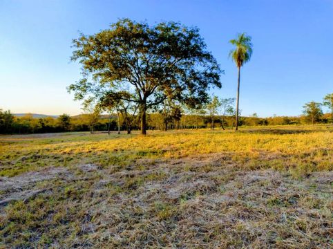 Área de 3 hectares  Próximo à saída para Rochedo