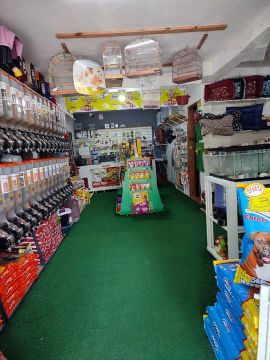 Aviário petshop 