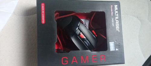 Mouse