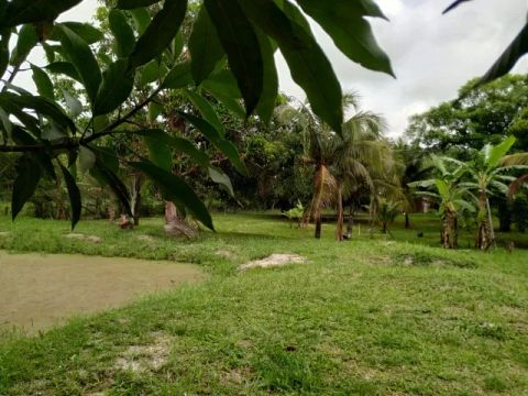 Vendo Chácara de esquina localizada em Campo Alegre, Nova Iguaçu, RJ - 5.500.m2
