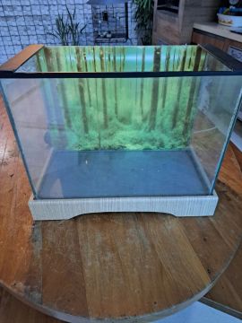 Aquário de vidro com base em madeira 60L