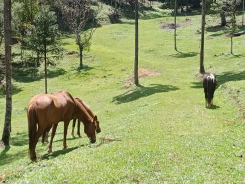 Ótimo terreno rural em Campo Alegre, Bateias de Baixo com 30.000m2
