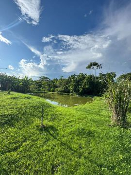 Sítio com lagoa e área verde
