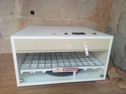 Chocadeira para 100 ovos