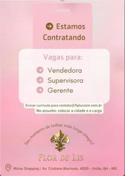 VAGAS DE EMPREGO VENDEDORA E GERENTE