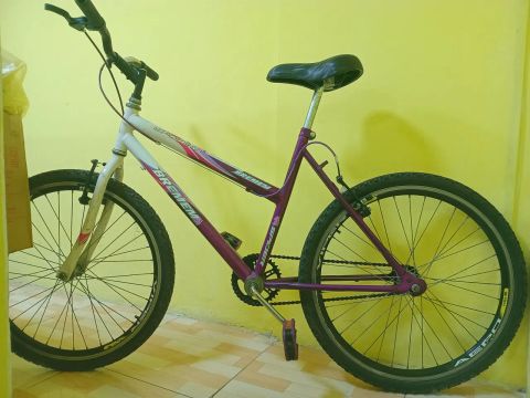 Bicicleta Bremen - Aro 26