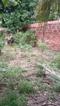 Terreno 12m/50m Vila Cafeteira 