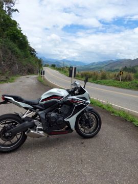 CBR 650R 2024 
