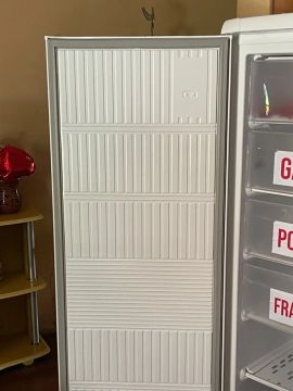 Freezer vertical 
