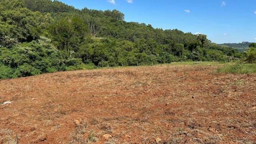 Área Rural à venda, Linha São José - Coronel Pilar/RS
