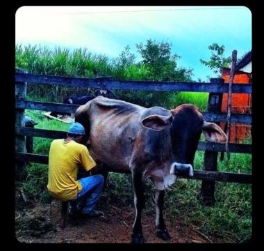 Caseiro propriedade rural