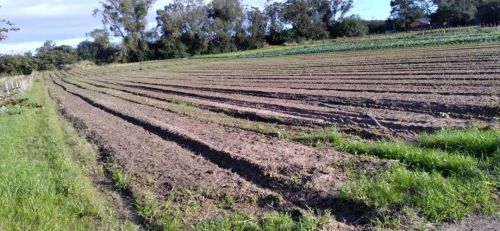 Área com 4,742 hectares na Av. do Lami, Bairro Belém Novo, Porto Alegre/RS. Terra agricult
