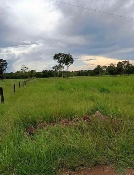Adiquira sua Fazenda Parcelada - Plano Rural!