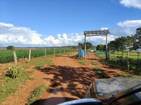 ARRENDAMENTO DE FAZENDA COM 50 HECTARES PRA CAFE, NO CERRADO MINEIRO!!