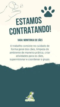 Trabalho monitor de cães