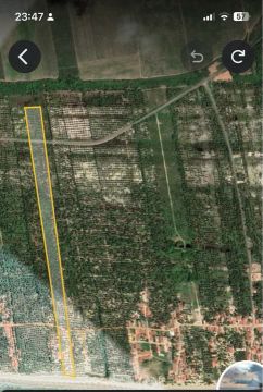 Área mais de 7 ha e 1/2 quase no Miai de Cima com 54 metros de Beira de PRAIA