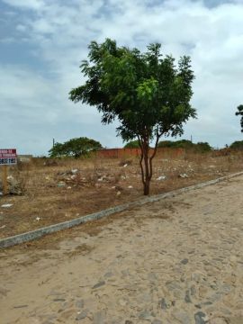Vendo 02 Terrenos em Brisas do Paracuru 6x25 (cada)