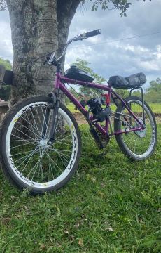 VENDO MOTORIZADA 80CC