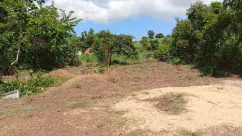 Lote quitado em luzimangues