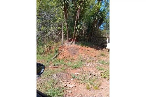 "Investimento de Ouro: Terreno 4600m² em S.C. do Sul"