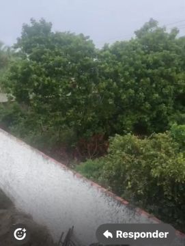 Terreno na Ilha de Itaparica 