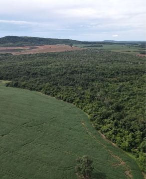 Fazenda de 70 alqueires com lavoura à venda em Porto Nacional-TO