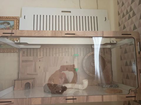 Terrário para hamster 