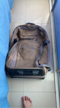 Mala de Viagem Grande Marrom CALVIN KLEIN