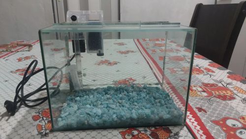 Aquario 6L