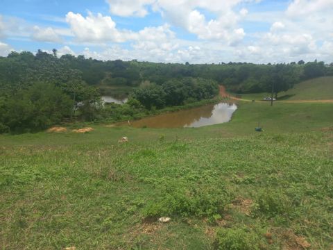Fazenda na cidade de Capela 
