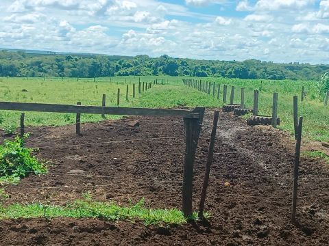 Chácara  sidrolandia. 20ht com laticínio