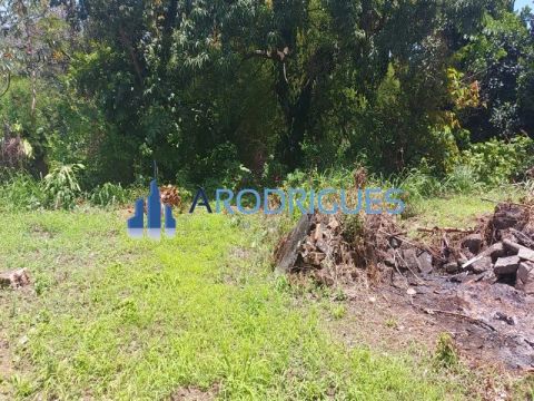 Terreno para minha casa minha vida, com 4.000 metros plano, ótimo também para comercio