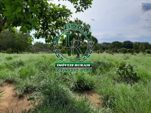 Fazenda 100 Aqueires Dupla Aptidão Tocantins