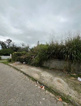 Vendo Terreno em sambaqui de 10 x 2500m2
