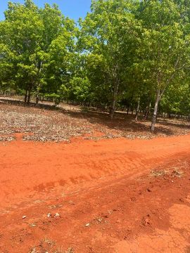 Fazenda Tocantis com 136 Alqueires - Minicipio de Cristalandia - TO