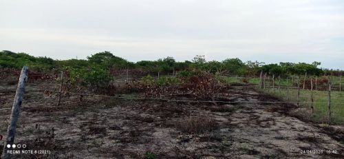 Terreno em sucatinga Tabuba Beberibe 