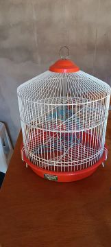 Gaiola para hamister em ótimo estado