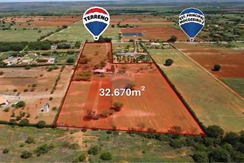 Fazenda à Venda na Estrada do Mocozeiro 2  Região de Grande Valorização em Irecê, Bahia