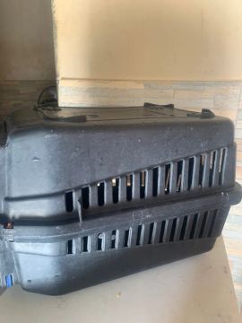 Caixa de Transporte para Cães