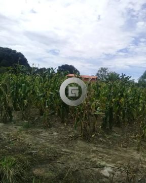 Fazenda/Sítio/Chácara em Patis, no bairro Zona Rural, à venda.