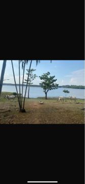 Sitio no Lago Preto