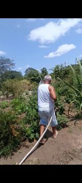 Sítio Nas Capoeiras - Alagoinhas BA