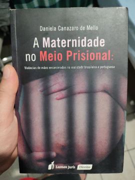 Livro A Maternidade no Meio Prisional