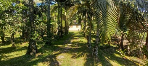 SÍTIO A VENDA FAZENDINHA BIGUAÇU 