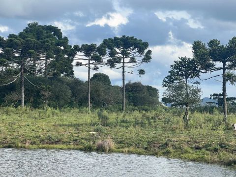 Terreno em Urubici - 30%entrada + 48X
