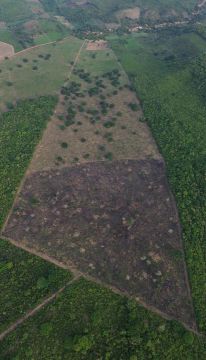 Vende - se Fazenda toda feita