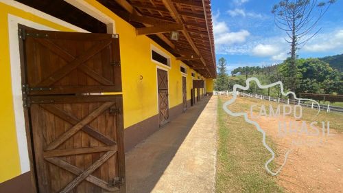 HARAS COM ESTRUTURA IMPECÁVEL PARA CRIADORES EXIGENTES!