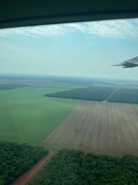 Fazenda arrendamento planta 3.084hec nova motum arg.25% 28 milhões de maquinas entra 