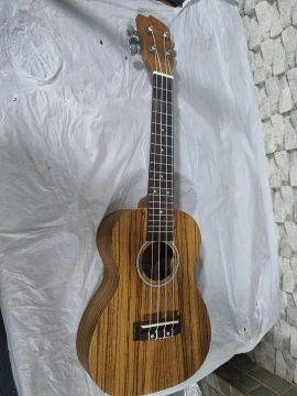 Umkulele 4 modelos