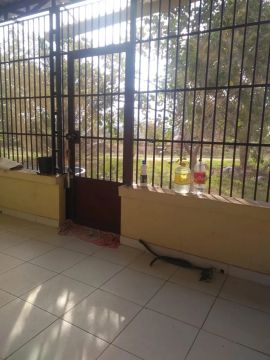 Casa com 1 quarto na BR 174